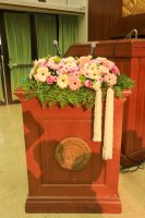 20250622-IMG_9398