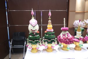 IMG_9552