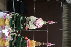 IMG_9558