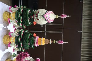 IMG_9560