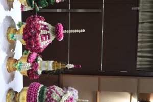 IMG_9561