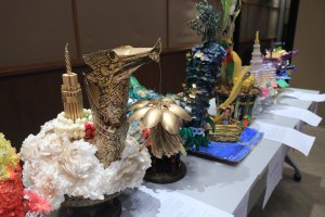 IMG_9565