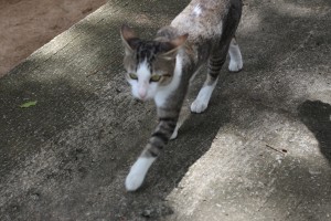 IMG_3077