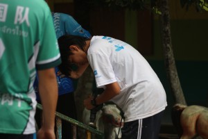IMG_9231