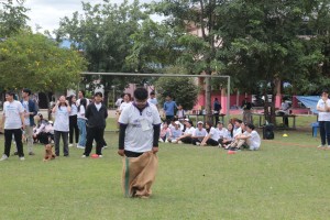 IMG_3940