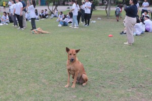 IMG_3947