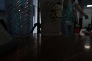 IMG_9244