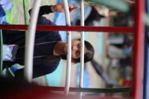 IMG_3667
