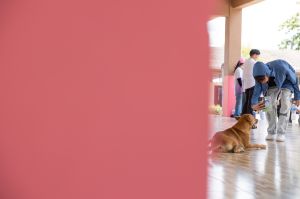 ค่ายอาสา โรงเรียนโป่งกระทิงบน-136