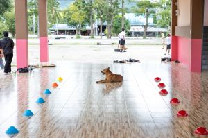 ค่ายอาสา โรงเรียนโป่งกระทิงบน-173