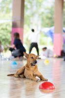 ค่ายอาสา โรงเรียนโป่งกระทิงบน-413