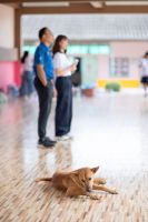 โรงเรียนโป่งกระทิง 22.08.2025-271