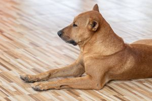 โรงเรียนโป่งกระทิง 22.08.2025-298