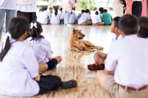 โรงเรียนโป่งกระทิง 22.08.2025-385