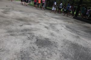 IMG_1133