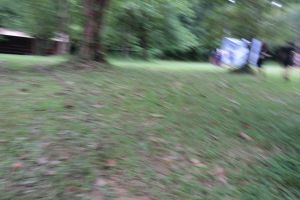 IMG_1140