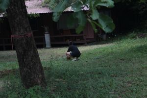 IMG_1255