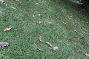 IMG_1573