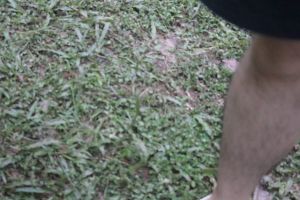 IMG_1601