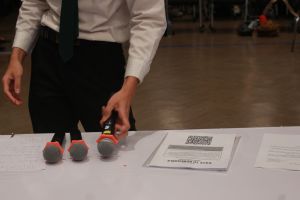 IMG_5393