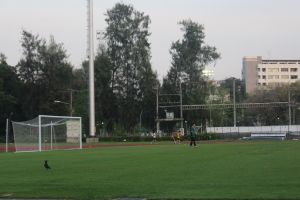 IMG_9820