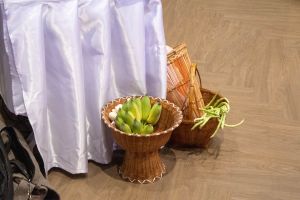 IMG_8919