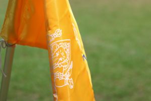 IMG_3777