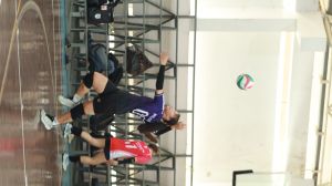 IMG_1481