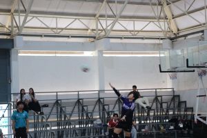 IMG_3953