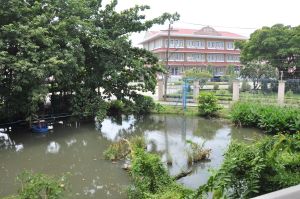 DSC_0332