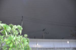 DSC_0606