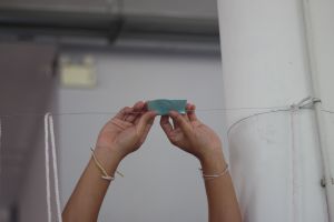 IMG_8684