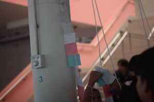 IMG_8686