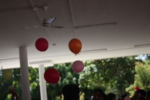 IMG_9244
