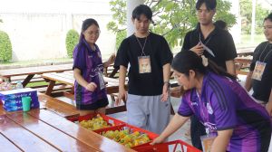 IMG_1251